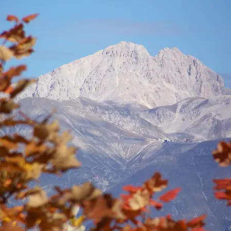 La Radice 招待所 3*