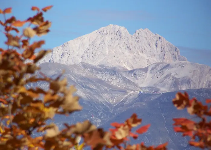 La Radice Vendégház 3*