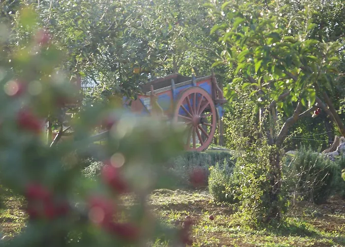 La Radice Pensjonat Paganica